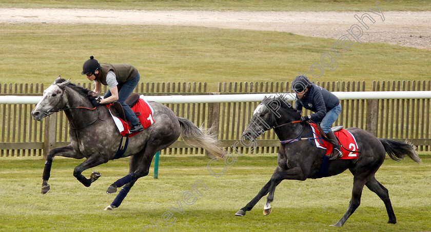 Phoenix-Of-Spain-0001 
 PHOENIX OF SPAIN (Jamie Spencer) in racecourse gallop
Newmarket 16 Apr 2019 - Pic Steven Cargill / Racingfotos.com