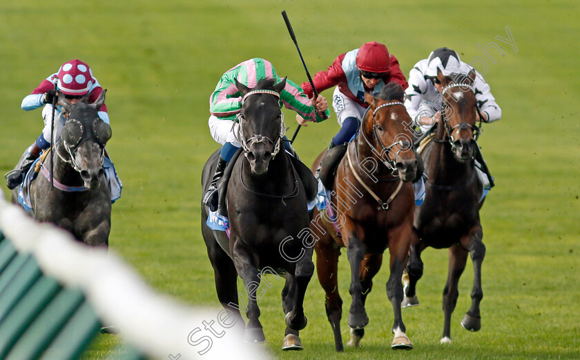 Pogo-0004 
 POGO (William Buick) wins The Thoroughbred Industry Employee Awards Challenge Stakes
Newmarket 7 Oct 2022 - Pic Steven Cargill / Racingfotos.com