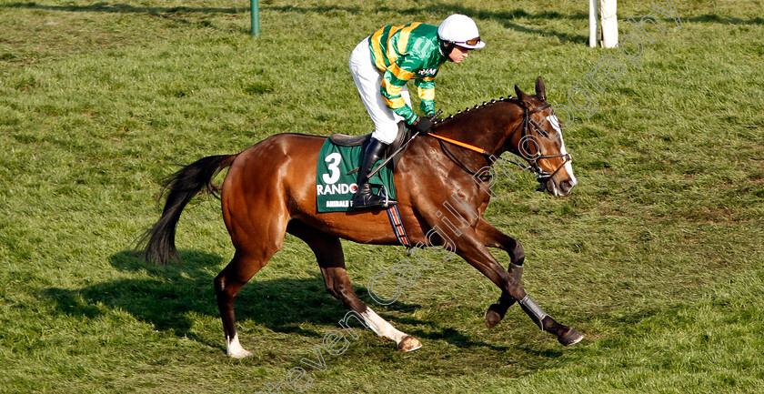 Anibale-Fly-0001 
 ANIBALE FLY (Barry Geraghty) Aintree 14 Apr 2018 - Pic Steven Cargill / Racingfotos.com