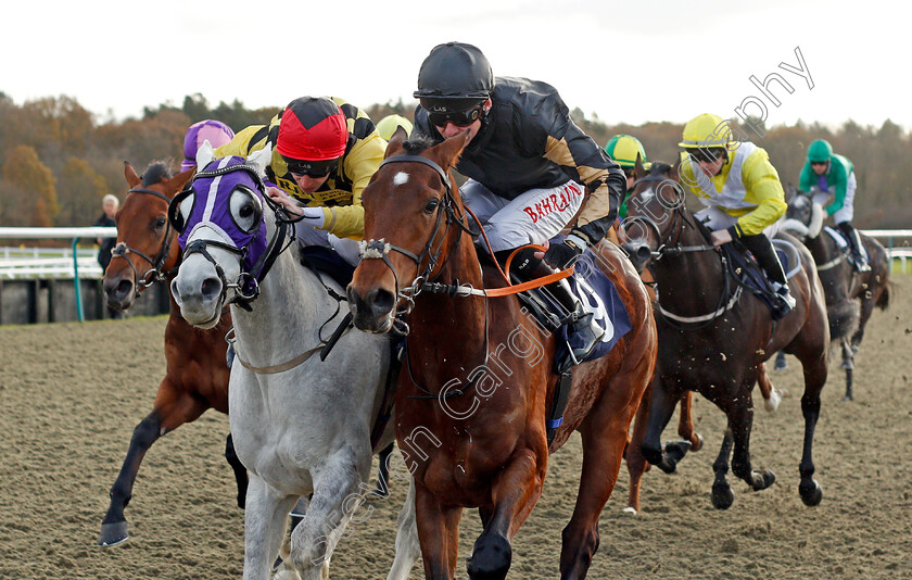 Buraback-0004 
 BURABACK (right, Robert Havlin) beats MAJOR GATSBY (left) in the Watch Racing Free Online At Coral Nursery
Lingfield 1 Dec 2021 - Pic Steven Cargill / Racingfotos.com