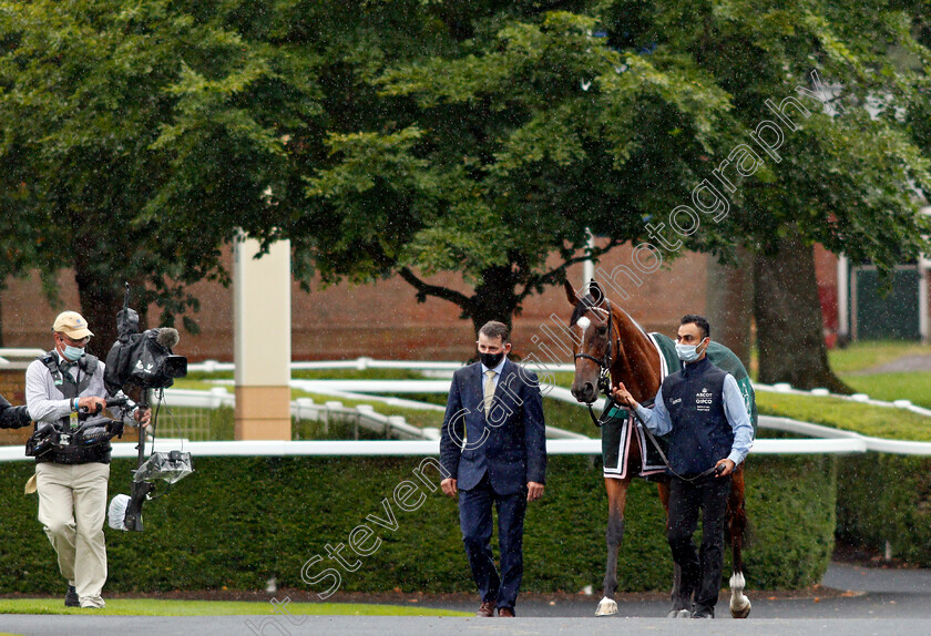 Enable-0005 
 ENABLE before winning The King George VI and Queen Elizabeth Stakes
Ascot 25 Jul 2020 - Pic Steven Cargill / Racingfotos.com