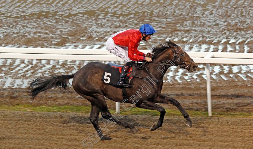 Fundamental-0009 
 FUNDAMENTAL (Robert Havlin) wins The racingwelfare.co.uk EBF Novice Stakes
Chelmsford 15 Oct 2020 - Pic Steven Cargill / Racingfotos.com