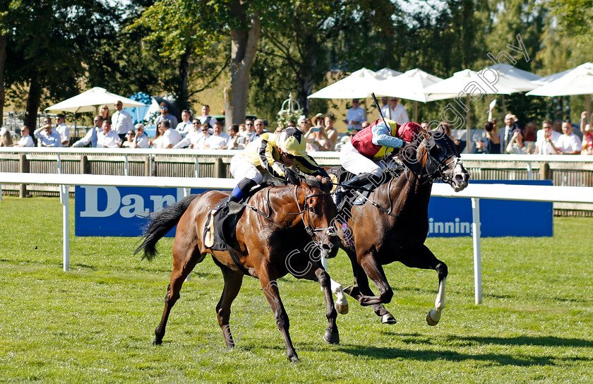 Adjuvant-0001 
 ADJUVANT (Benoit de la Sayette) beats COMMONSENSICAL (farside) in The Moet & Chandon Handicap
Newmarket 9 Jul 2022 - Pic Steven Cargill / Racingfotos.com