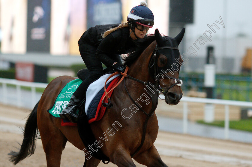 Desert-Encounter-0002 
 DESERT ENCOUNTER training for The Dubai Sheema Classic
Meydan 28 Mar 2019 - Pic Steven Cargill / Racingfotos.com