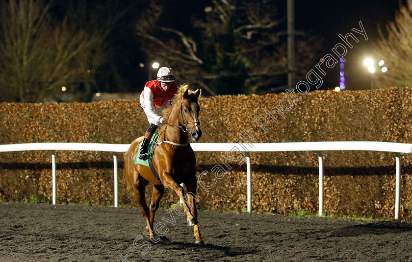 Jarham-0002 
 JARHAM (Rossa Ryan)
Kempton 11 Dec 2024 - Pic Steven Cargill / Racingfotos.com