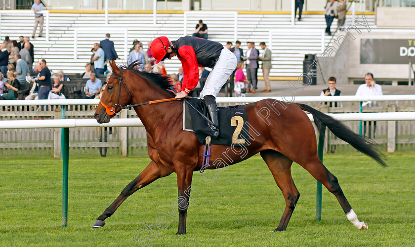 Christian-David-0001 
 CHRISTIAN DAVID (Thomas Greatrex)
Newmarket 7 Oct 2023 - Pic Steven Cargill / Racingfotos.com