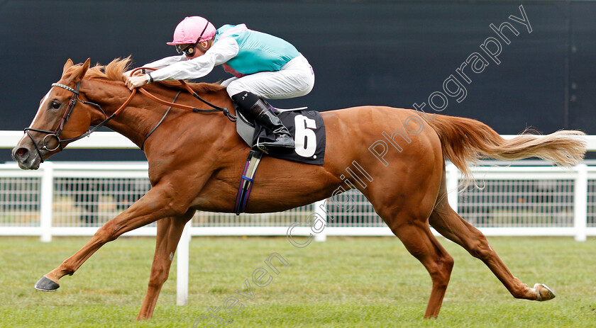 Pocket-Square-0007 
 POCKET SQUARE (Jason Watson) wins The Royal Foresters British EBF Fillies Novice Stakes
Ascot 7 Sep 2019 - Pic Steven Cargill / Racingfotos.com