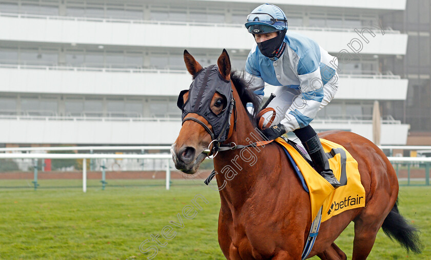 Chamade-0001 
 CHAMADE (Richard Kingscote) winner of The Betfair Exchange British EBF Gillies Fillies Stakes
Doncaster 7 Nov 2020 - Pic Steven Cargill / Racingfotos.com