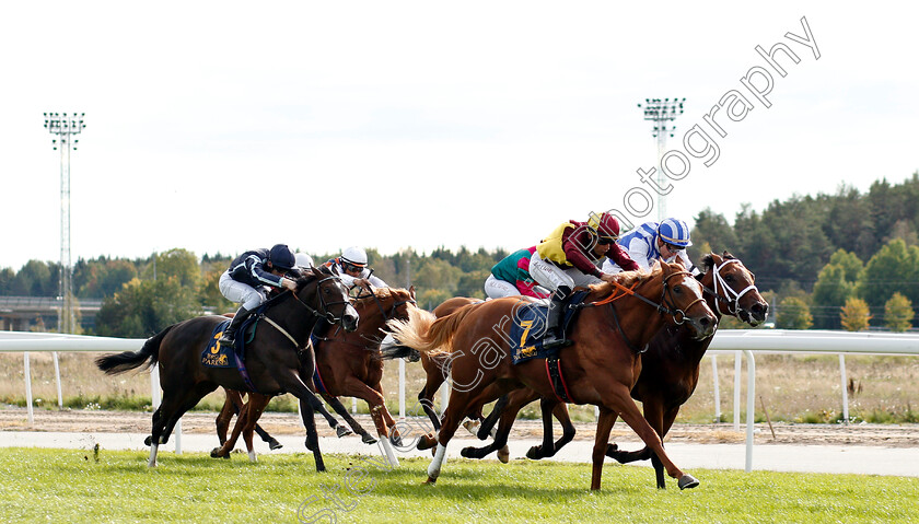 Red-Cactus-0002 
 RED CACTUS (Elione Chaves) beats NIPOZZANO (right) and IZVESTIA (left) in The Timeform Svealandlopning
Bro Park, Sweden 23 Sep 2018 - Pic Steven Cargill / Racingfotos.com