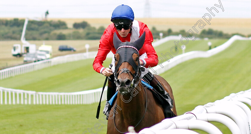 Audience-0002 
 AUDIENCE (Robert Havlin) wins The Cavani Menswear Fashion Face-Off Frenzy Criterion Stakes
Newmarket 1 Jul 2023 - Pic Steven Cargill / Racingfotos.com