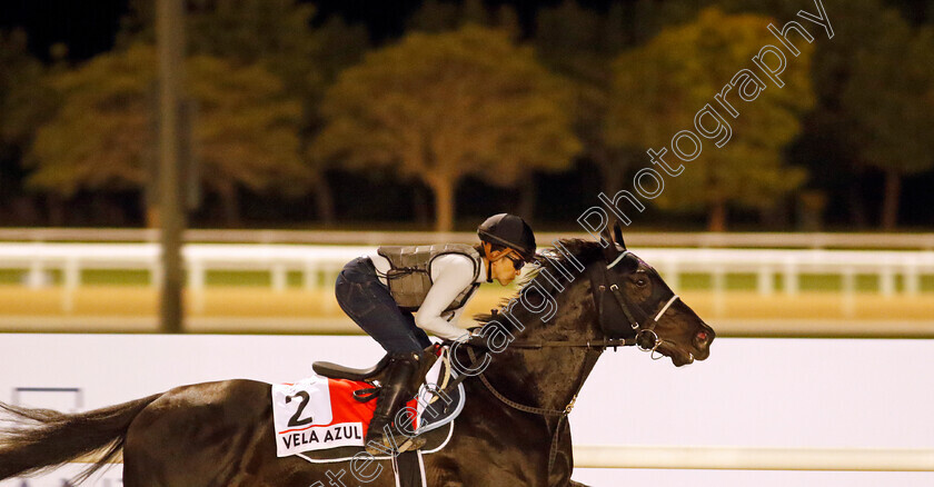 Vela-Azul-0002 
 VELA AZUL training for The Dubai World Cup
Meydan, Dubai, 22 Mar 2023 - Pic Steven Cargill / Racingfotos.com