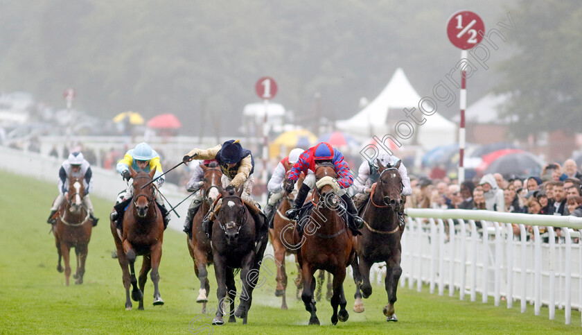 Big-Evs-0006 
 BIG EVS (centre, Jason Hart) beats PUROSANGUE (left) in the Jaeger-Lecoultre Molecomb Stakes
Goodwood 2 Aug 2023 - Pic Steven Cargill / Racingfotos.com