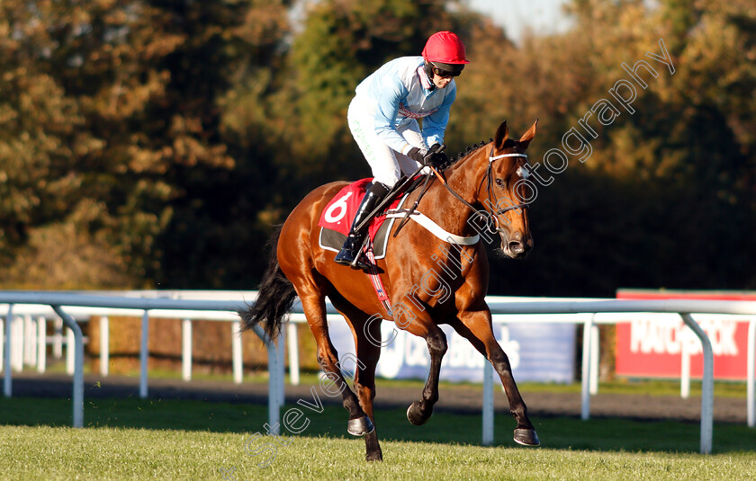 Verdana-Blue-0001 
 VERDANA BLUE (Nico De Boinville) before The Matchbook VIP Hurdle
Kempton 21 Oct 2018 - Pic Steven Cargill / Racingfotos.com