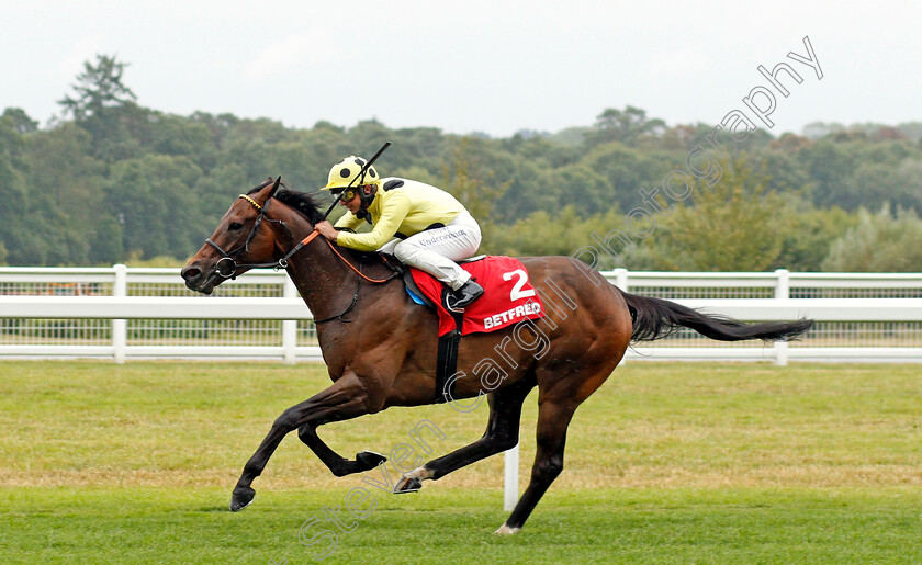 Look-Closely-0002 
 LOOK CLOSELY (Andrea Atzeni) wins The betfred.com Handicap
Ascot 25 Jul 2020 - Pic Steven Cargill / Racingfotos.com