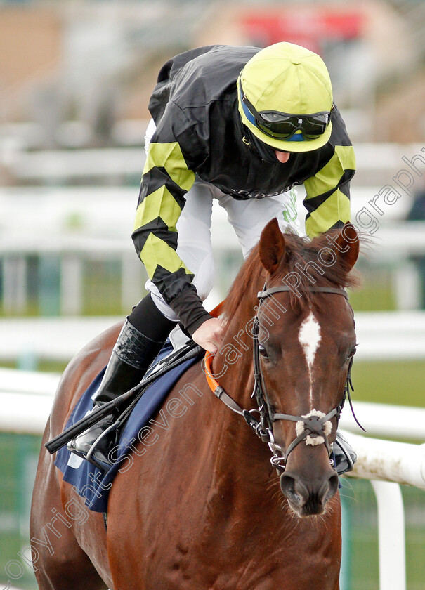 Artorious-0001 
 ARTORIOUS (Richard Kingscote)
Doncaster 28 Mar 2021 - Pic Steven Cargill / Racingfotos.com