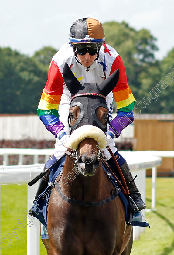 Zim-Baby 
 ZIM BABY (Jim Crowley) goes to post in Racing With Pride silks for The British EBF Supporting Racing With Pride Fillies Handicap (finished unplaced)
York 10 Jun 2022 - Pic Steven Cargill / Racingfotos.com