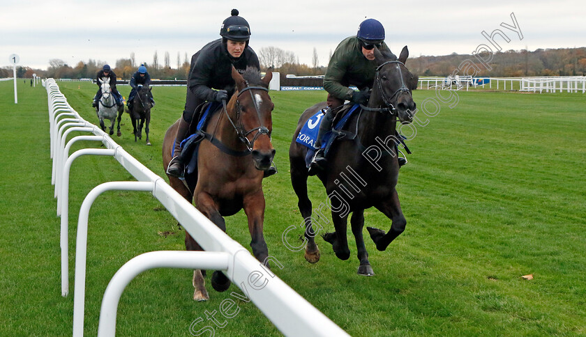 Ashtown-Lad-and-My-Drogo-0003 
 ASHTOWN LAD (left, Bridget Andrews) with MY DROGO (right, Harry Skelton) 
Coral Gold Cup Gallops Morning
Newbury 21 Nov 2023 - Pic Steven Cargill / Racingfotos.com