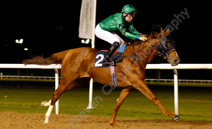 Petit-Palais-0005 
 PETIT PALAIS (Robert Havlin) wins The Hellermanntyton Cable Installation Median Auction Maiden Stakes
Wolverhampton 5 Sep 2018 - Pic Steven Cargill / Racingfotos.com