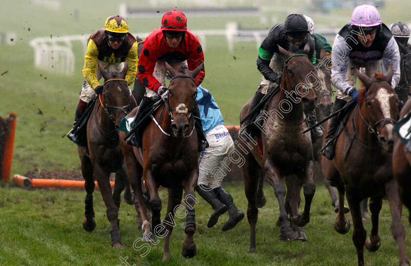 James-Bowen-0001 
 JAMES BOWEN is unseated at Cheltenham 18 Nov 2017 - Pic Steven Cargill / Racingfotos.com