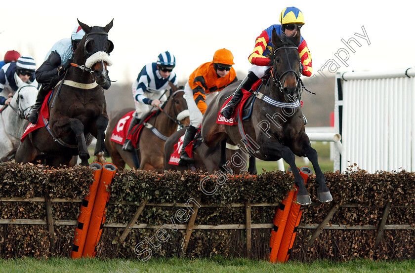 Vive-Le-Roi-0003 
 VIVE LE ROI (Harry Bannister) wins The Ladbrokes Handicap Hurdle
Newbury 30 Nov 2018 - Pic Steven Cargill / Racingfotos.com