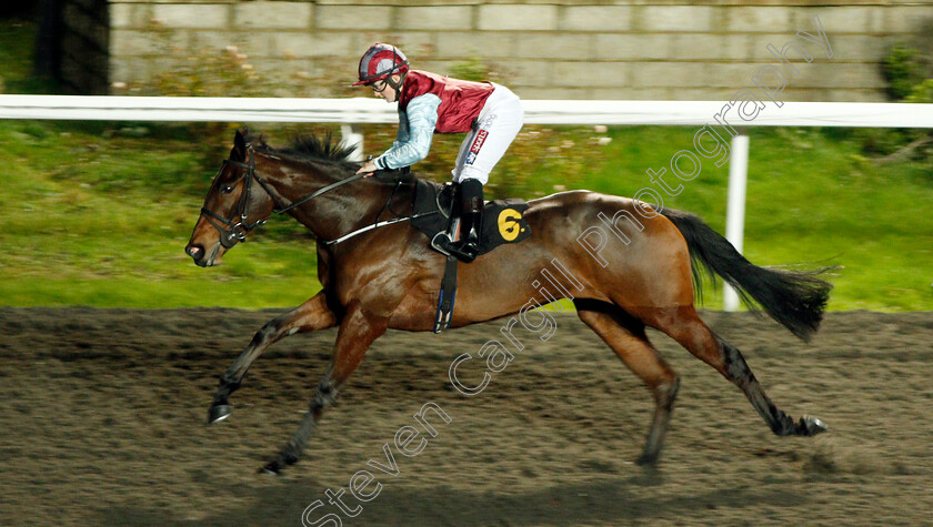 Bella-Brazil-0004 
 BELLA BRAZIL (Hollie Doyle) wins The 32Red Nursery Handicap
Kempton 27 Nov 2019 - Pic Steven Cargill / Racingfotos.com