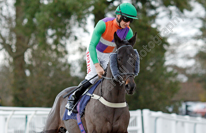 Prince-Of-Harts 
 PRINCE OF HARTS (Tom Marquand)
Lingfield 1 Dec 2021 - Pic Steven Cargill / Racingfotos.com