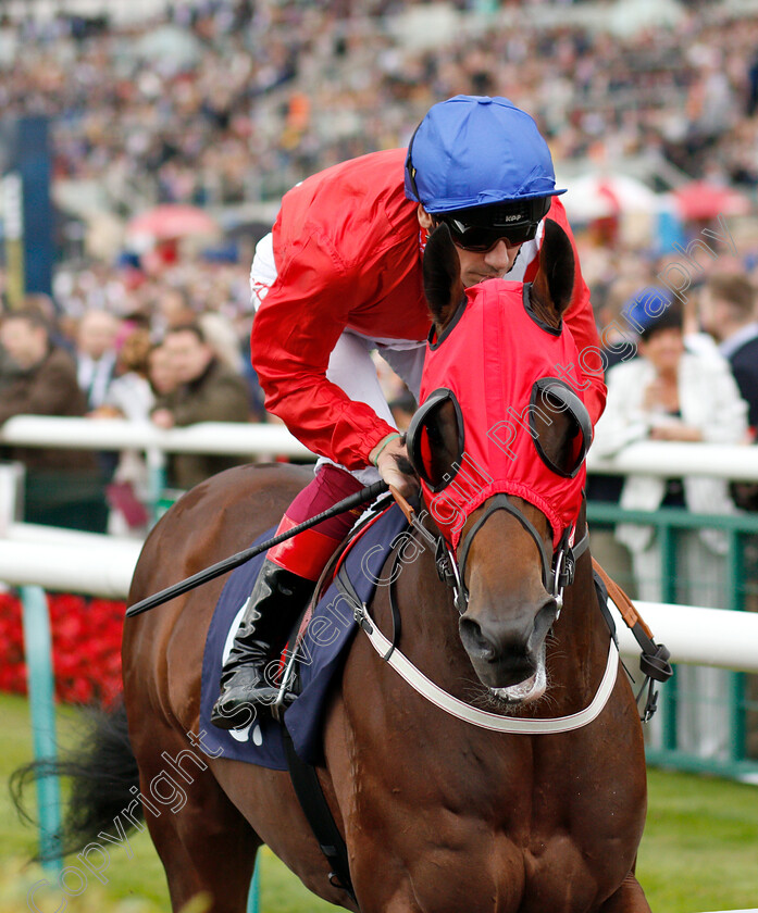 Unfortunately-0001 
 UNFORTUNATELY (Frankie Dettori)
Newmarket 15 Sep 2018 - Pic Steven Cargill / Racingfotos.com