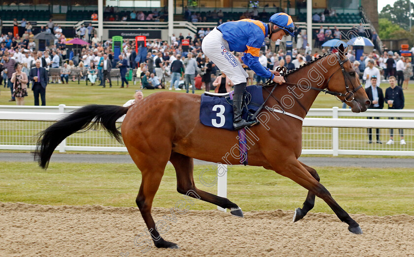 Amaysmont-0001 
 AMAYSMONT (Oisin McSweeney) winenr of The Jenningsbet Handicap
Newcastle 24 Jun 2022 - Pic Steven Cargill / Racingfotos.com