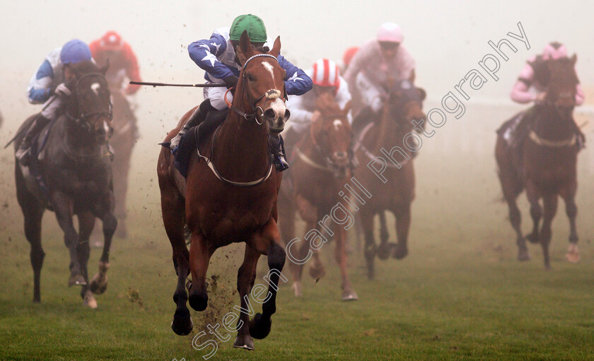 Tipperary-Tiger-0003 
 TIPPERARY TIGER (Ben Curtis) wins The Betfair Cock O'The North EBF Maiden Stakes
Doncaster 7 Nov 2020 - Pic Steven Cargill / Racingfotos.com