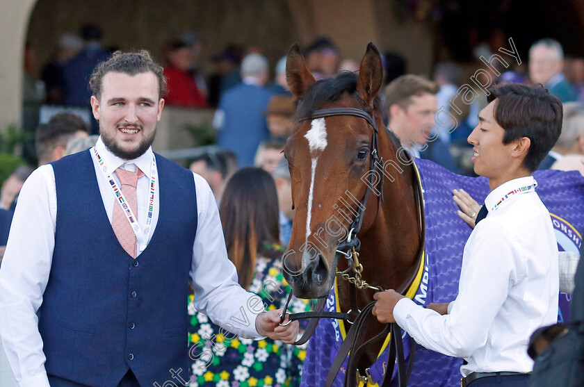 Lake-Victoria-0009 
 LAKE VICTORIA winner of the Breeders' Cup Juvenile Fillies Turf
Del Mar USA 1 Nov 2024 - Pic Steven Cargill / Racingfotos.com