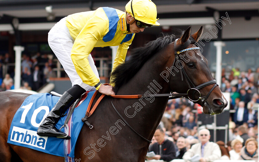 Young-Rascal-0002 
 YOUNG RASCAL (James Doyle) winner of The Centennial Celebration MBNA Chester Vase
Chester 9 May 2018 - Pic Steven Cargill / Racingfotos.com