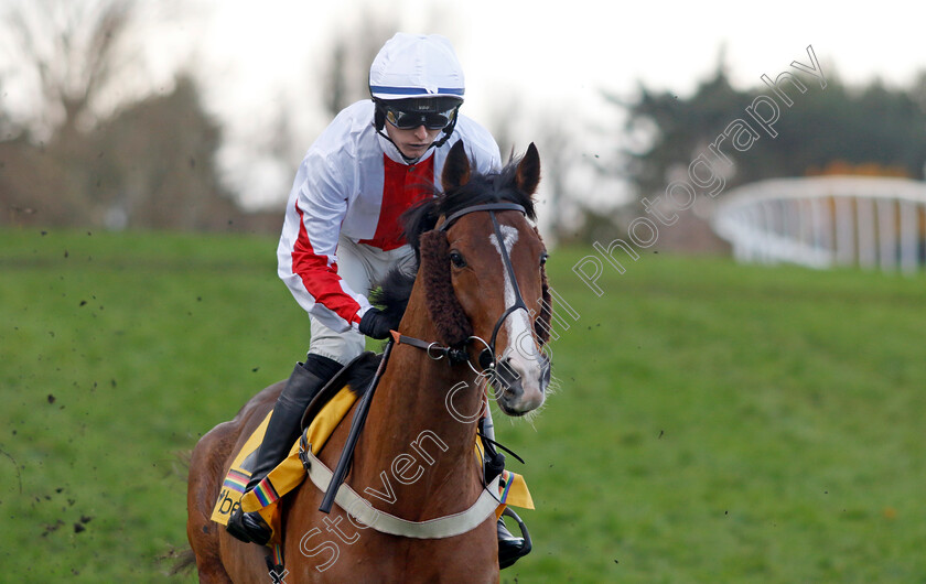 Goshen-0002 
 GOSHEN (Niall Houlihan)
Sandown 9 Dec 2023 - Pic Steven Cargill / Racingfotos.com