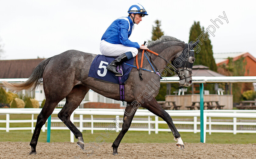 Monya-0001 
 MONYA (Kieran Shoemark)
Lingfield 14 Feb 2020 - Pic Steven Cargill / Racingfotos.com