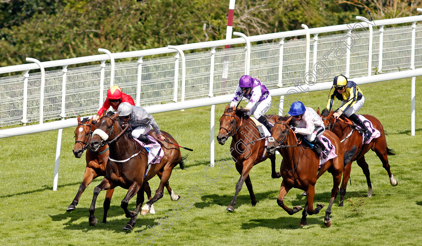 Last-Empire-0003 
 LAST EMPIRE (Daniel Tudhope) beats ONASSIS (right) and HIGHFIELD PRINCESS (red) in The Whispering Angel Oak Tree Stakes
Goodwood 28 Jul 2021 - Pic Steven Cargill / Racingfotos.com