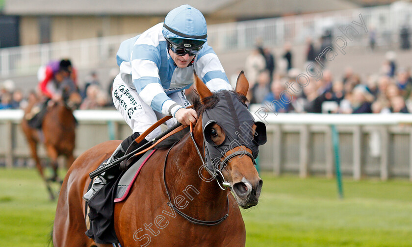 Chamade-0005 
 CHAMADE (Richard Kingscote) wins The Allicare Fillies Novice Median Auction Stakes
Newmarket 23 Oct 2019 - Pic Steven Cargill / Racingfotos.com