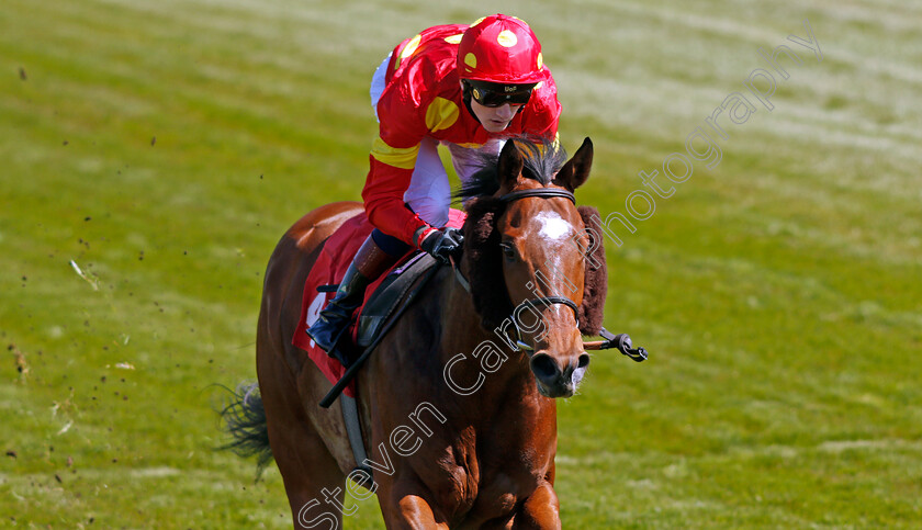 Nelson-Gay-0005 
 NELSON GAY (David Egan) wins The bet365 Handicap
Sandown 23 Apr 2021 - Pic Steven Cargill / Racingfotos.com