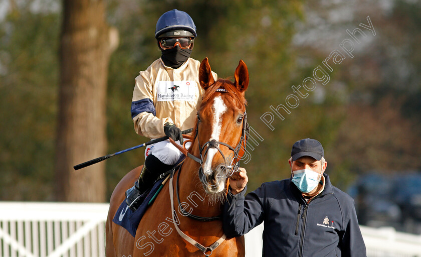 Going-Places-0002 
 GOING PLACES (Hollie Doyle) winner of The Bombardier March To Your Own Drum Novice Stakes
Lingfield 9 Jan 2021 - Pic Steven Cargill / Racingfotos.com