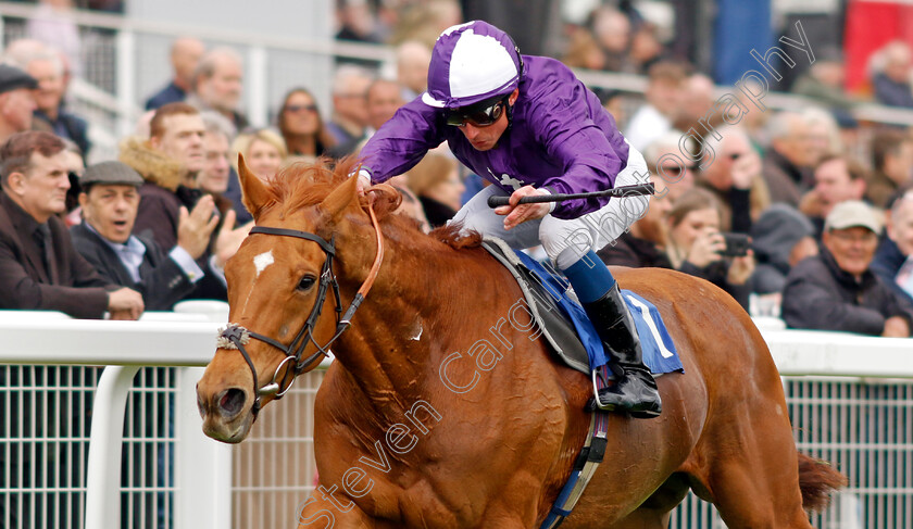 Sir-Rumi-0003 
 SIR RUMI (William Buick) wins The Betfred Nifty Fifty Great Metropolitan Handicap
Epsom 25 Apr 2023 - Pic Steven Cargill / Racingfotos.com