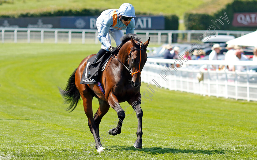 An-Outlaw s-Grace-0001 
 AN OUTLAW'S GRACE (Sean Levey)
Goodwood 30 Jul 2024 - Pic Steven Cargill / Racingfotos.com