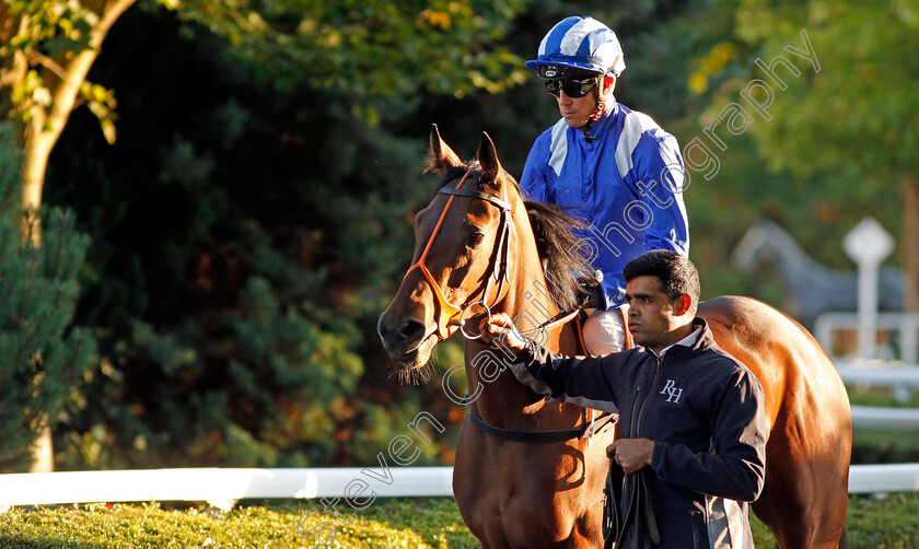 Masaakin-0003 
 MASAAKIN (Jim Crowley) before The 32Red.com British Stallion Studs EBF Fillies Novice Stakes
Kempton 2 Oct 2019 - Pic Steven Cargill / Racingfotos.com