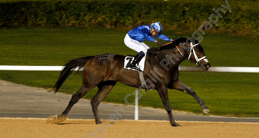 Muntazah-0004 
 MUNTAZAH (Jim Crowley) wins The Firebreak Stakes
Meydan 14 Feb 2019 - Pic Steven Cargill / Racingfotos.com