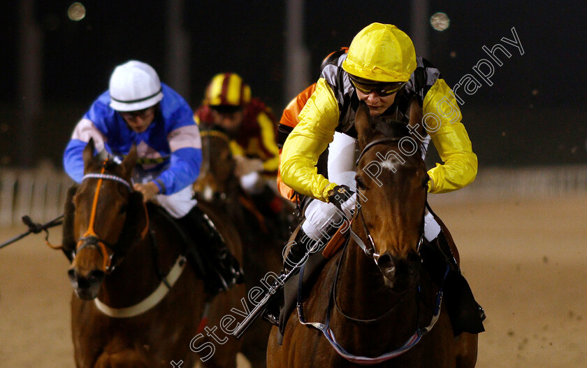 Always-A-Drama-0004 
 ALWAYS A DRAMA (Cieren Fallon) wins The Bet toteexacta At totesport.com Fillies Handicap
Chelmsford 21 Feb 2019 - Pic Steven Cargill / Racingfotos.com