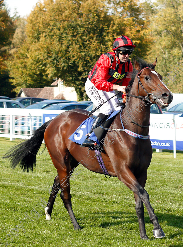 Escape-The-Rain-0001 
 ESCAPE THE RAIN (Robert Winston)
Salisbury 3 Oct 2018 - Pic Steven Cargill / Racingfotos.com