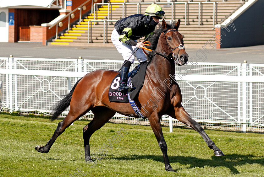 Solent-Gateway-0001 
 SOLENT GATEWAY (Richard Kingscote)
Chester 5 May 2021 - Pic Steven Cargill / Racingfotos.com