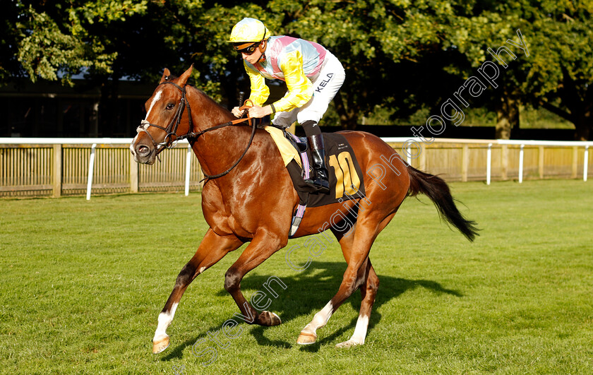 Qetaifan-0001 
 QETAIFAN (Jason Watson)
Newmarket 9 Aug 2024 - Pic Steven Cargill / Racingfotos.com