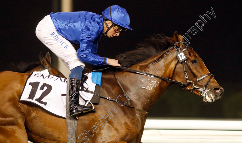 With-The-Moonlight-0008 
 WITH THE MOONLIGHT (William Buick) wins The Cape Verdi Stakes
Meydan, Dubai 3 Feb 2023 - Pic Steven Cargill / Racingfotos.com