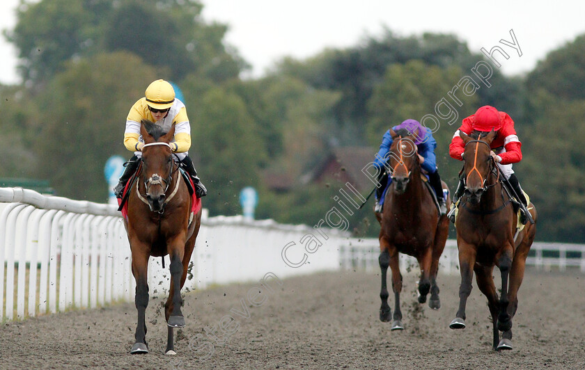 Quiet-Endeavour-0003 
 QUIET ENDEAVOUR (left, Hollie Doyle) wins The Call Star Sports On 08000 521 321 Nursery
Kempton 15 Aug 2018 - Pic Steven Cargill / Racingfotos.com