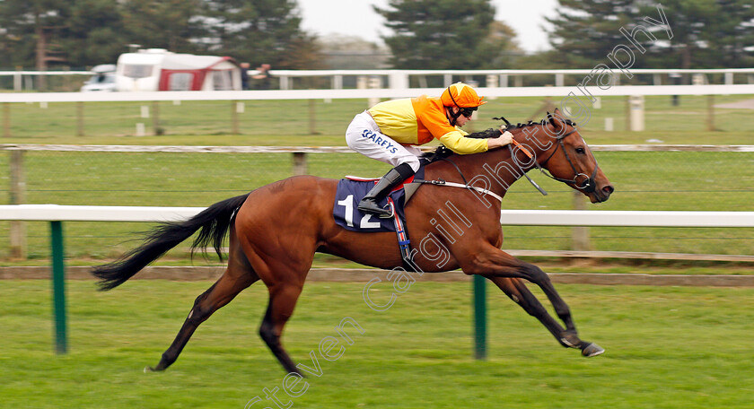 Four-Kingdoms-0001 
 FOUR KINGDOMS (Joey Haynes) wins The Optimist Design Ltd Handicap Yarmouth 16 Oct 2017 - Pic Steven Cargill / Racingfotos.com