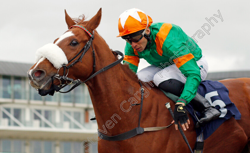 Puerto-De-Vega-0006 
 PUERTO DE VEGA (Sean Levey) wins The Betway Handicap
Lingfield 5 Feb 2022 - Pic Steven Cargill / Racingfotos.com