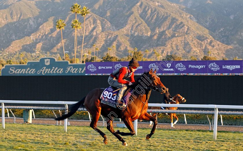 Big-Evs-0001 
 BIG EVS (Tom Marquand) training for the Breeders' Cup Juvenile Turf Sprint
Santa Anita USA, 1 Nov 2023 - Pic Steven Cargill / Racingfotos.com